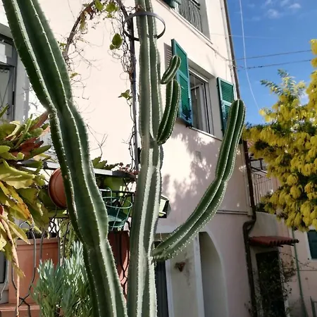 Monolocale Con Giardino E Parcheggio Privato Citra Zero Zero Ottanta Trentuno Lt 0281 Apartmán Imperia