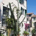 Monolocale Con Giardino E Parcheggio Privato Citra Zero Zero Ottanta Trentuno Lt 0281 *