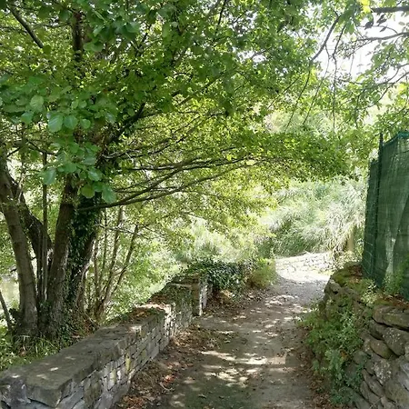 Διαμέρισμα Monolocale Con Giardino E Parcheggio Privato Citra Zero Zero Ottanta Trentuno Lt 0281