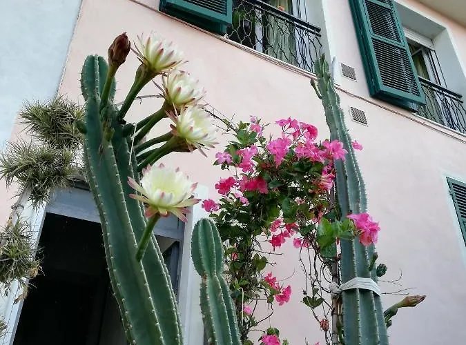 Monolocale Con Giardino E Parcheggio Privato Citra Zero Zero Ottanta Trentuno Lt 0281 Imperia